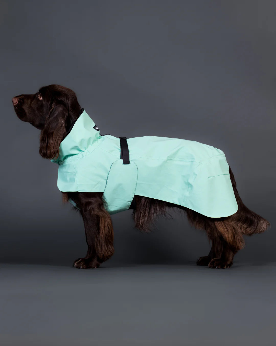 PAIKKA Visibility Raincoat