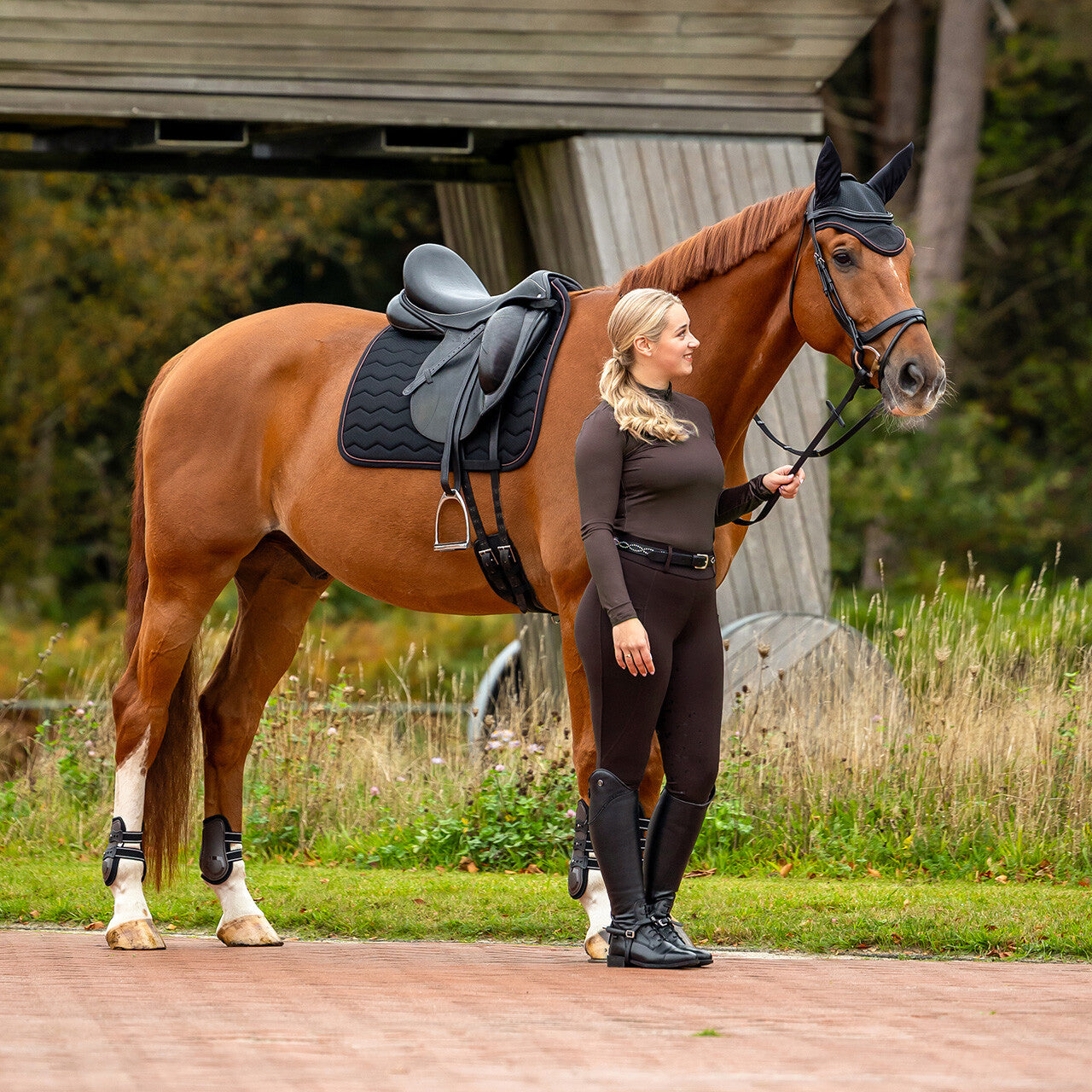QHP Avenna Saddle Pad