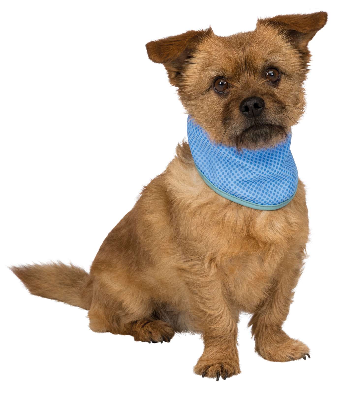 Trixie Køle Bandana