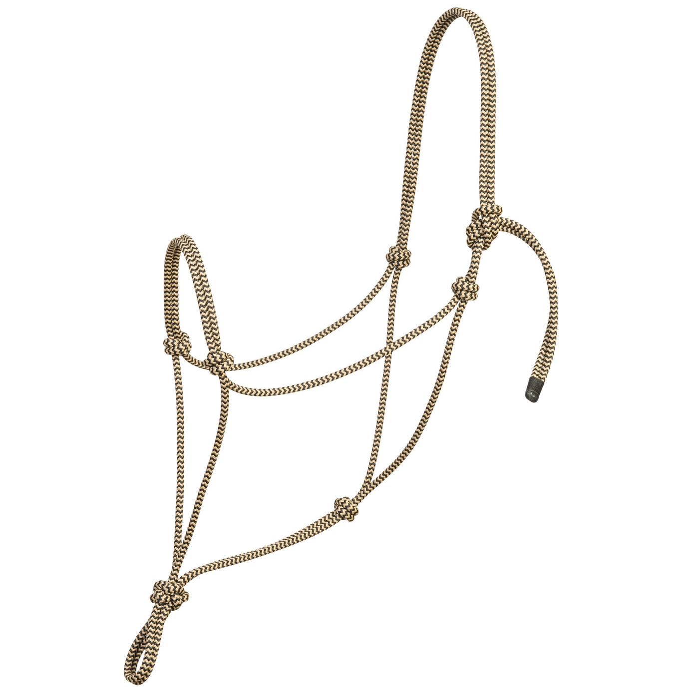 Silvertip Halters Weaver Silvertip Big Sky Rebgrime
