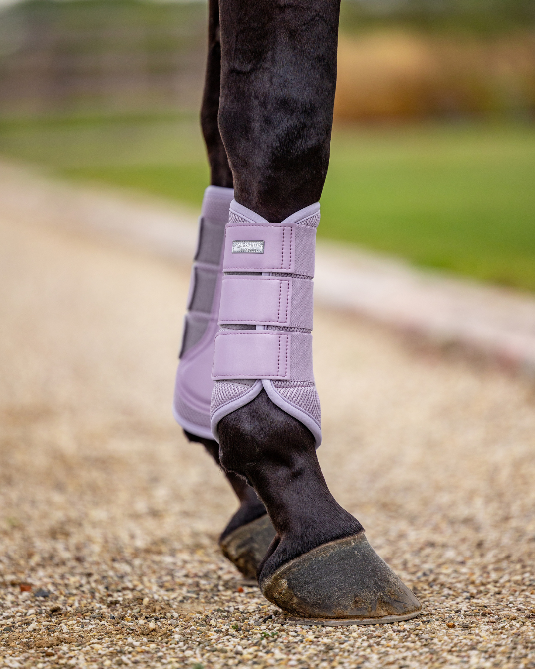 Equestrian Stockholm Classic Mesh Brushing Boots Lavender