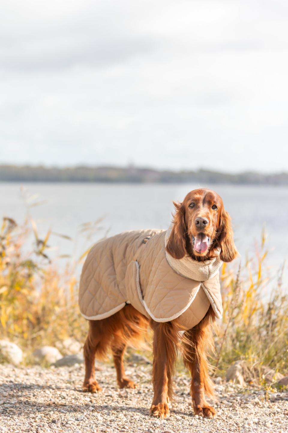 Trixie Minot Sherpa hundejakke