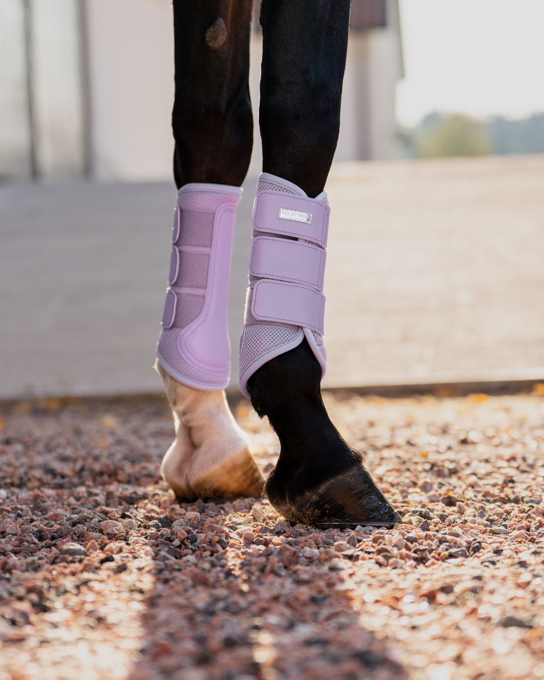 Equestrian Stockholm Classic Mesh Brushing Boots Lavender