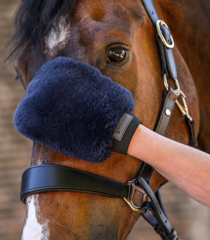 Waldhausen Lucky Lambskin Grooming Glove