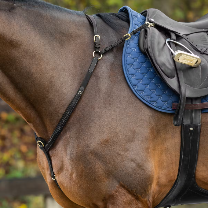 Dyon Bridge Breastplate