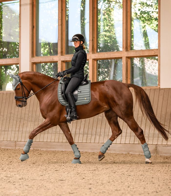 Waldhausen Air Performance Tendon Boots