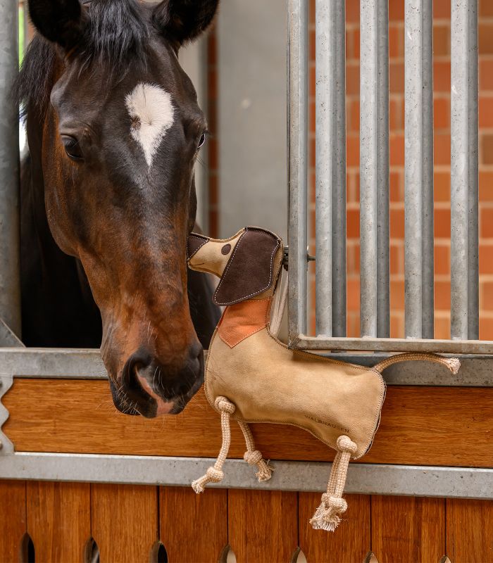 Waldhausen Horse Toy Dachshund Dieter