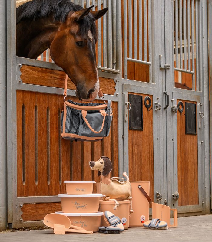 Waldhausen Horse Toy Dachshund Dieter
