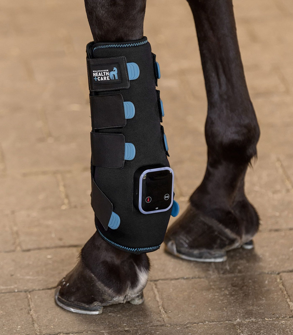 Waldhausen Health + Care TecSupreme Tendon Boots