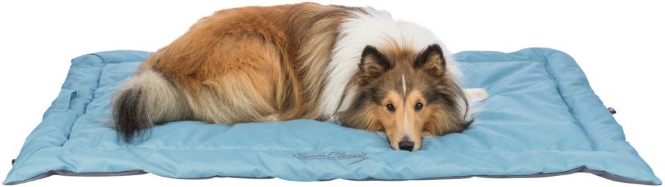 Trixie Samoa Classic Travel Blanket