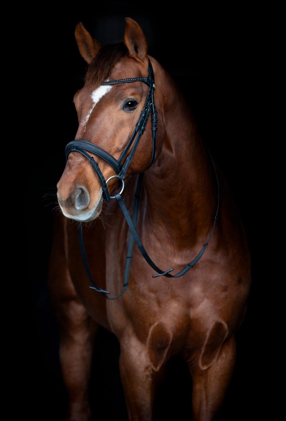 Horse Guard Emi 26.2-trense med kombineret næsebånd