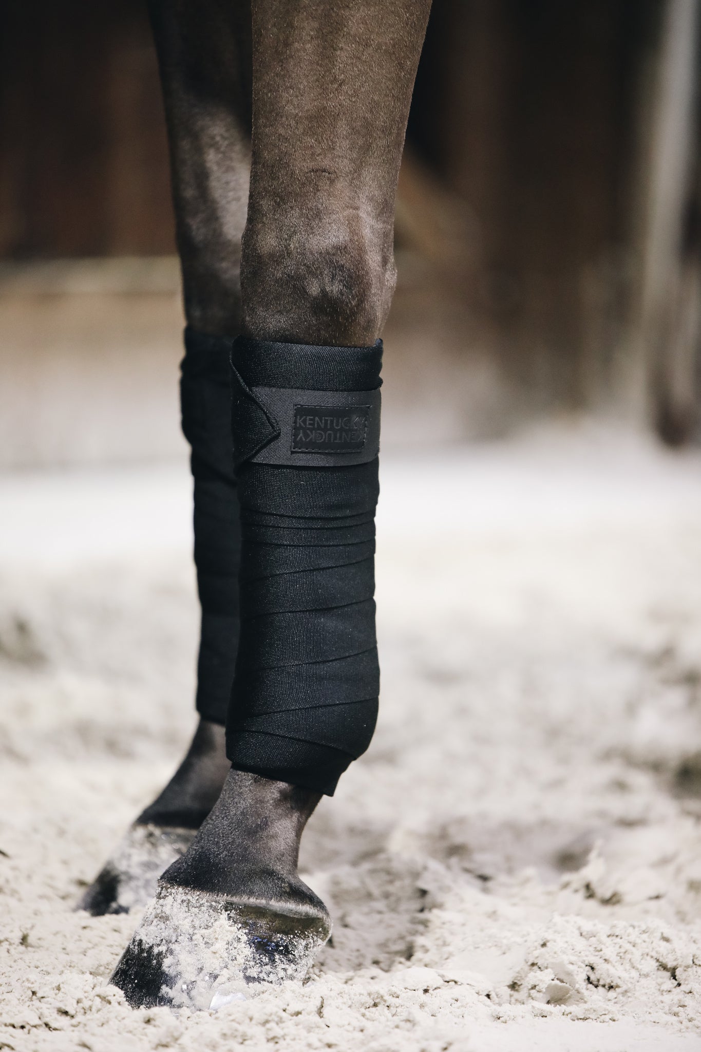Kentucky Repellent Working Bandages