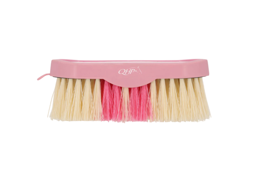 QHP Dandy brush Lyvia