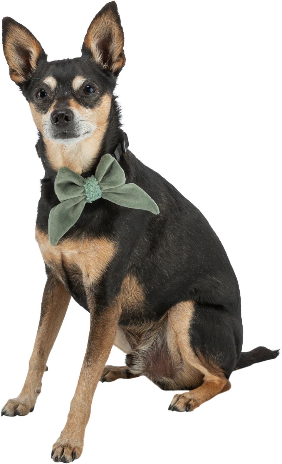 Trixie Xmas Julesløjfe Til Hundehalsbånd