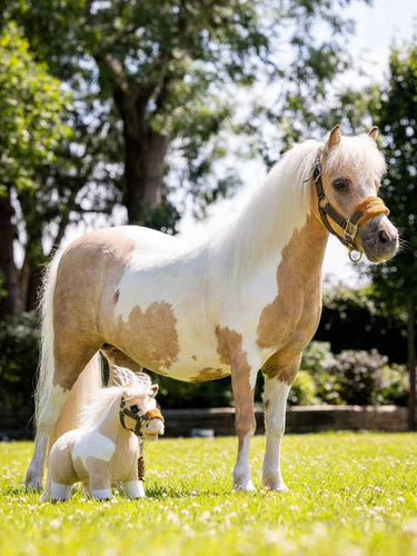 Mini Pony Lemon