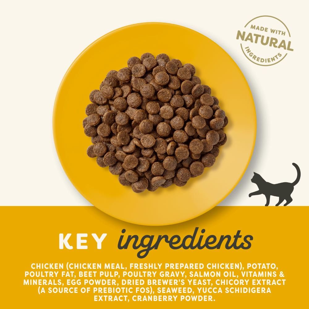 Applaws Adult Cat Chicken 7.5kg - Bestillingsvare