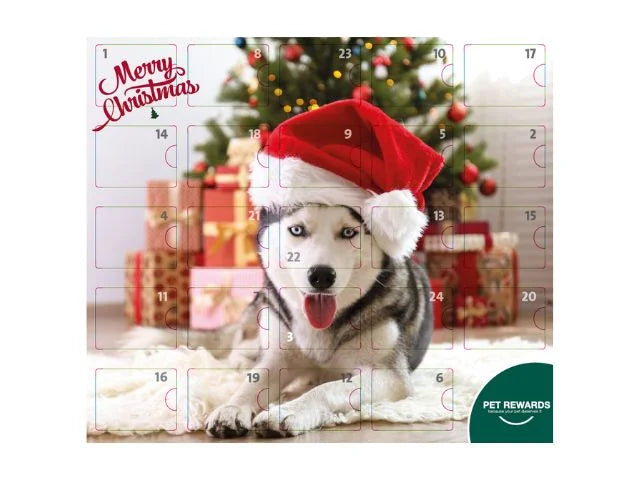 Tikki Julekalender til Hund