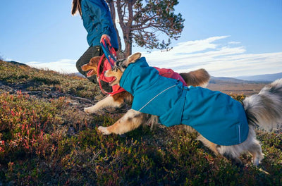 Hurtta Expedition Parka 2.0