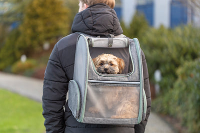 Trixie Chloe Backpack