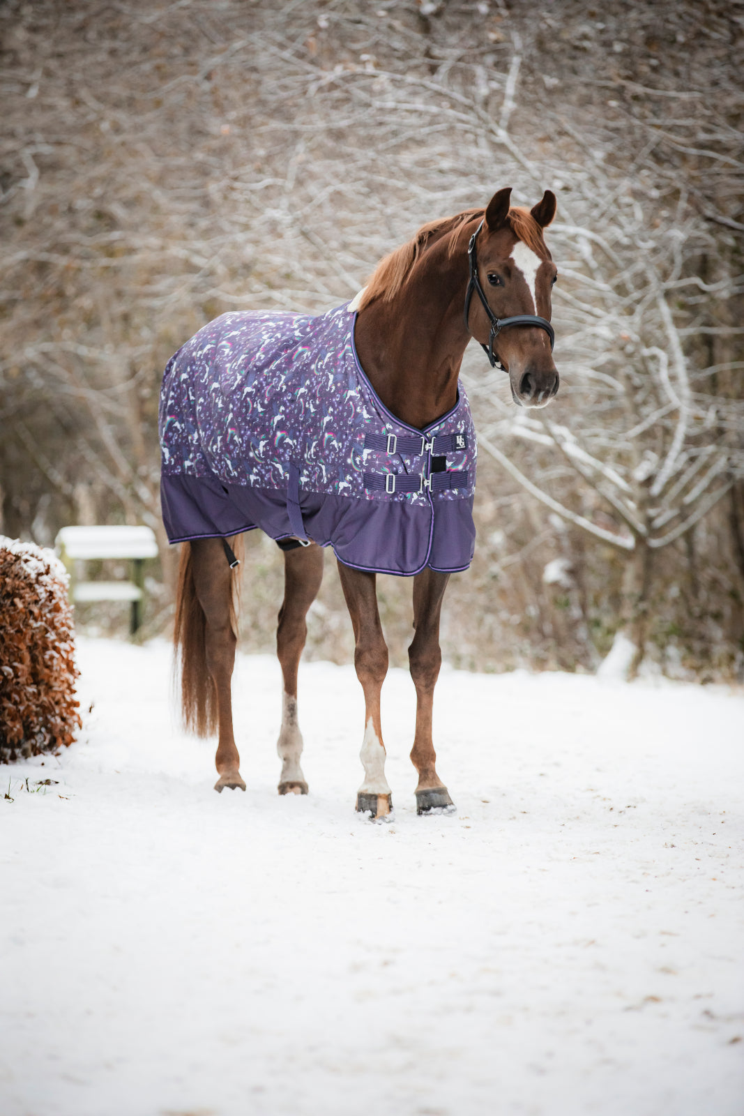 HorseGuard Josh Turnout Rug 600D 100 g. Pony