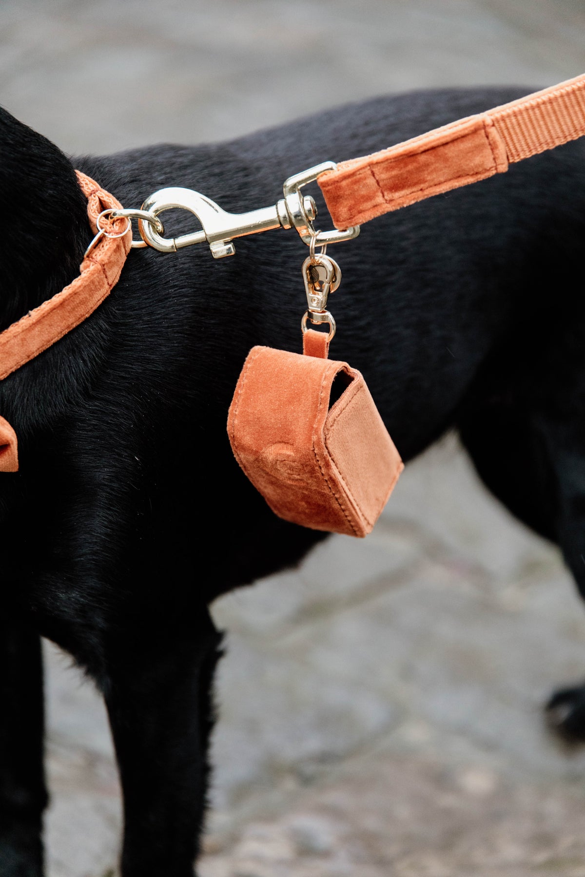 Kentucky Poop Bag Velvet