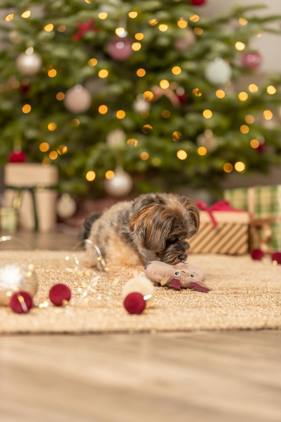 Trixie Xmas Juleelg - Donut