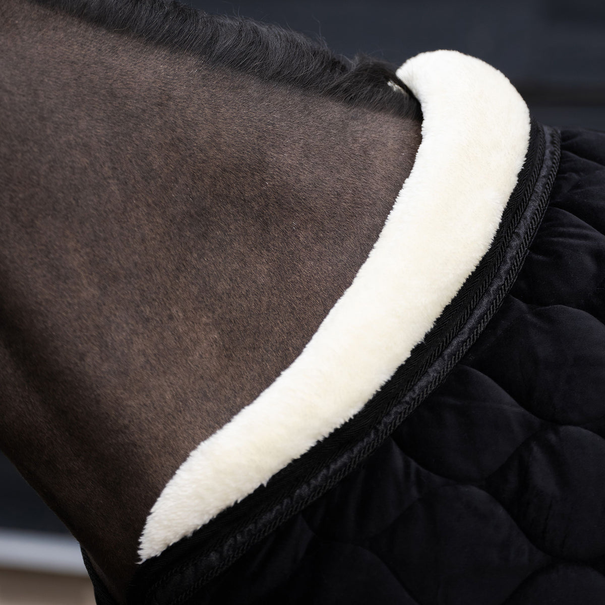 Imperial Riding IRHBandit Show Blanket