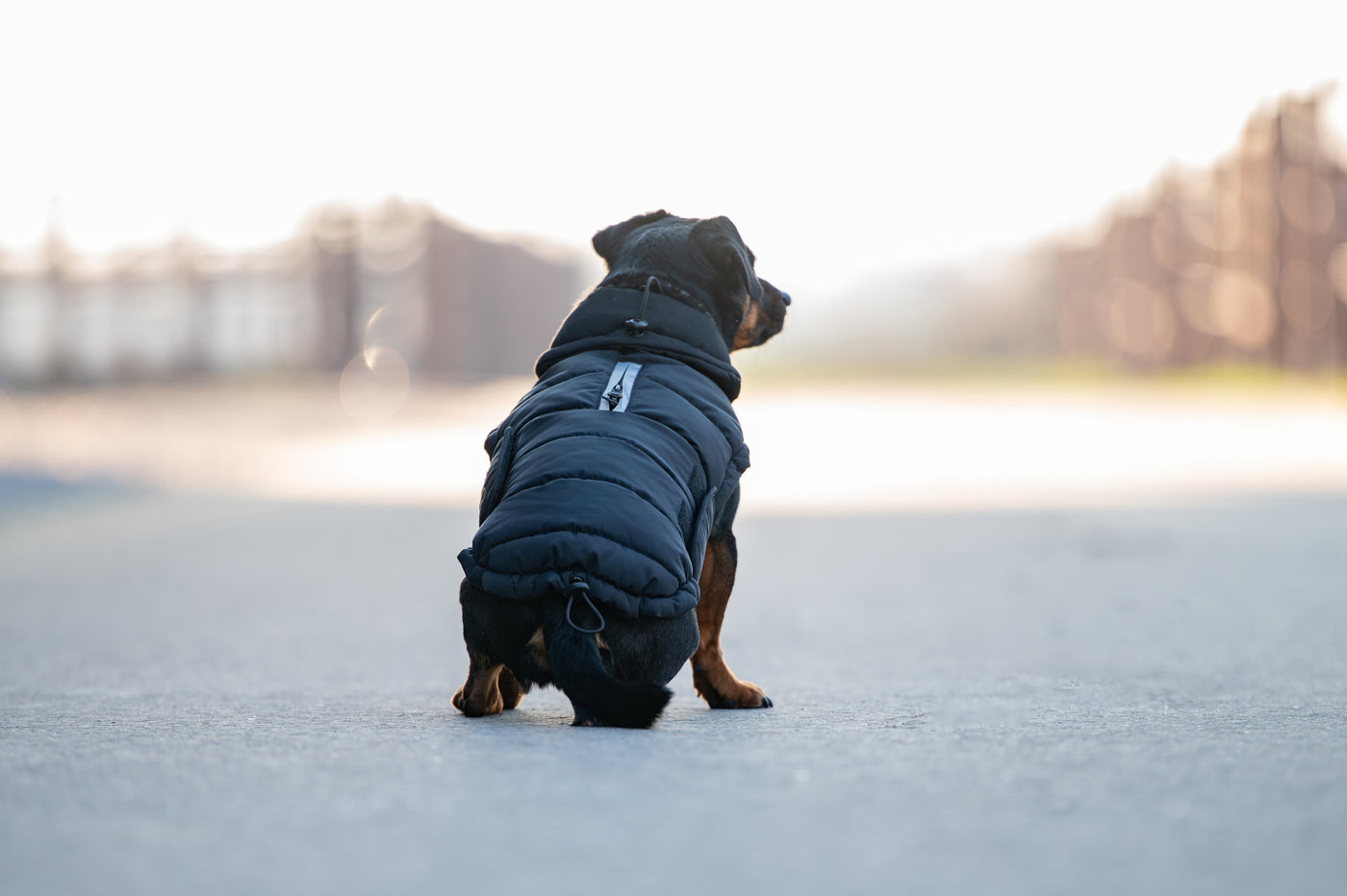 Catago FIR-Tech Puffer Hundedækken