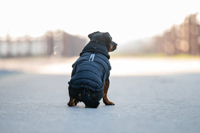 Catago FIR-Tech Puffer Hundedækken