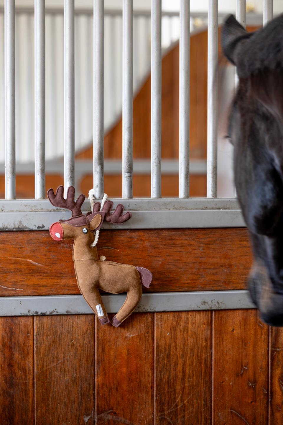 Horse Guard Hestelegetøj Rensdyr