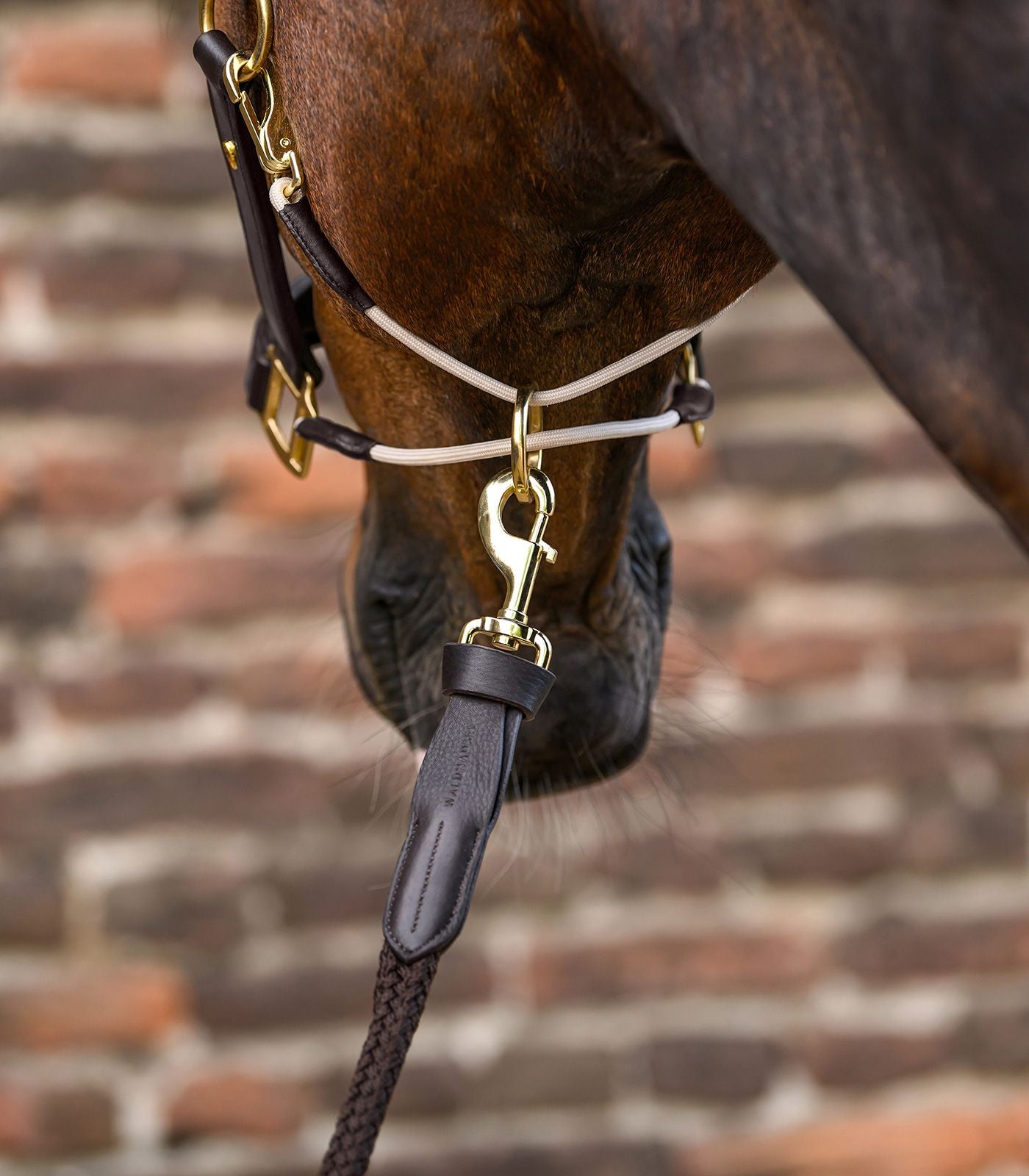 Waldhausen Royal Lead Rope With Leather Details