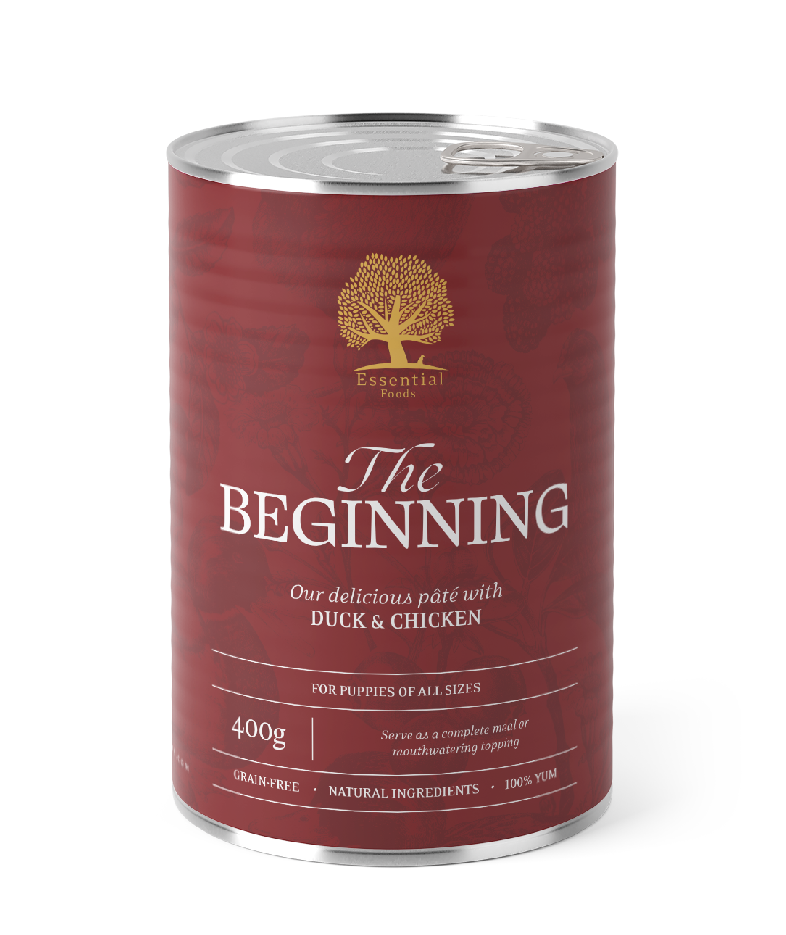 Essential Foods The Beginning Paté