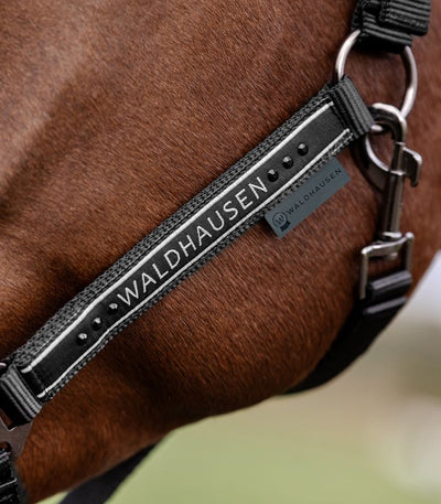 Waldhausen Elegant Grime Black
