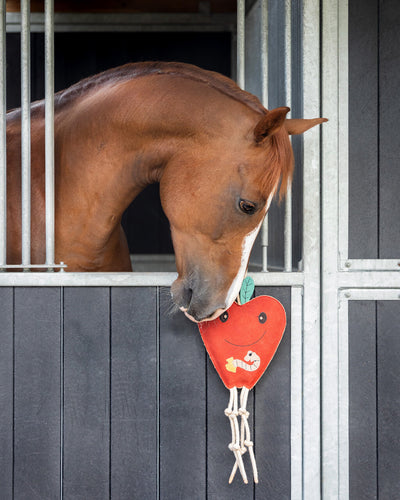 Horse Toy Apple