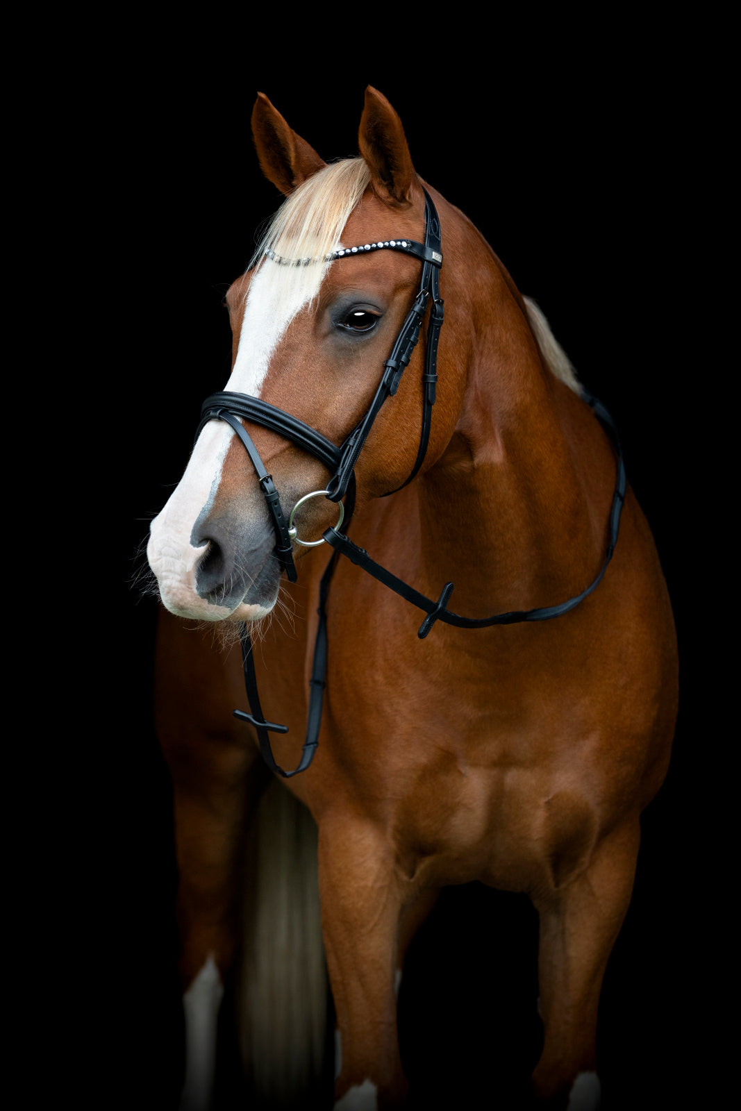 HorseGuard EMI 25.2 Kombineret Trense