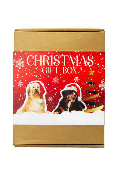 Christmas Gift Box til hund