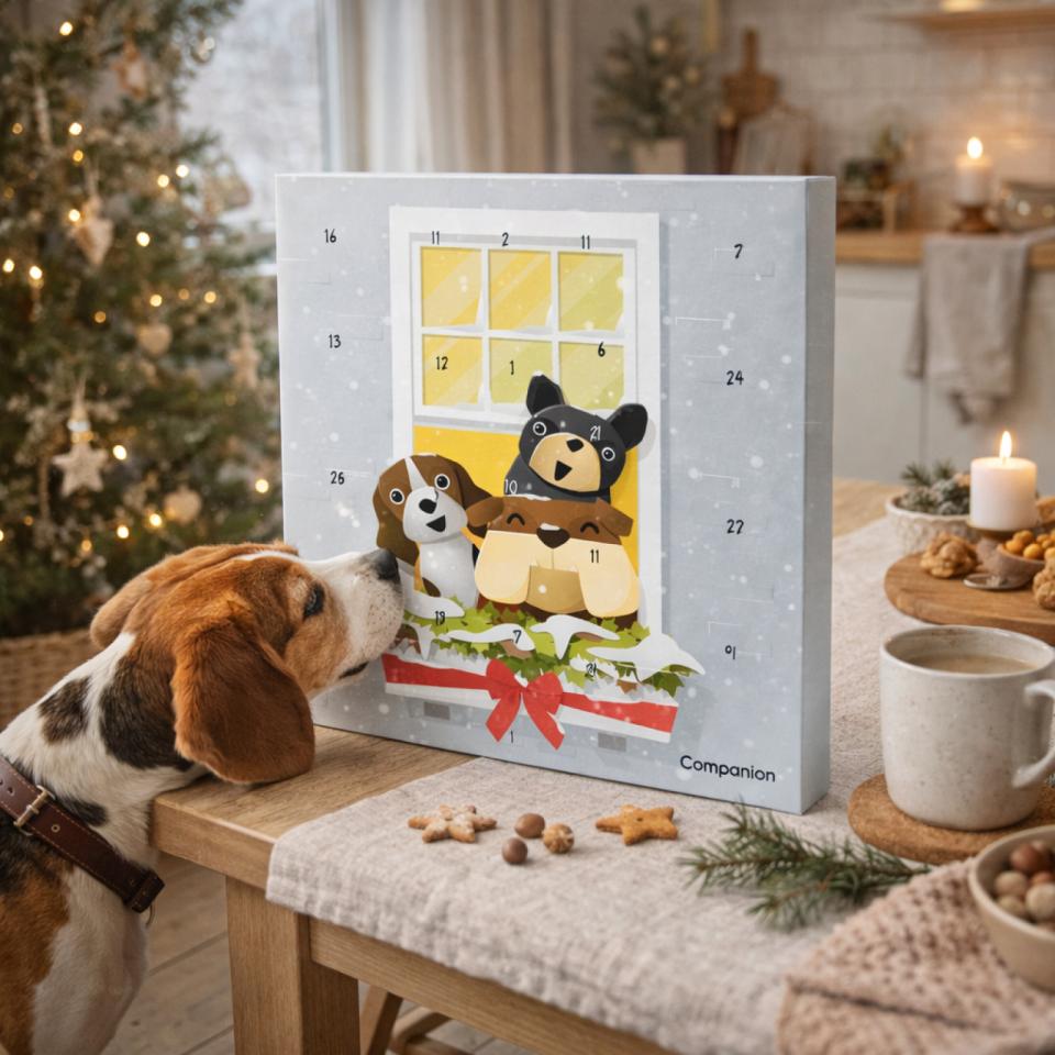 Companion Julekalender Til Hund