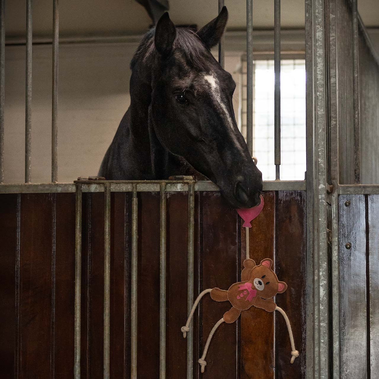 Horse Toy Valentine Bear