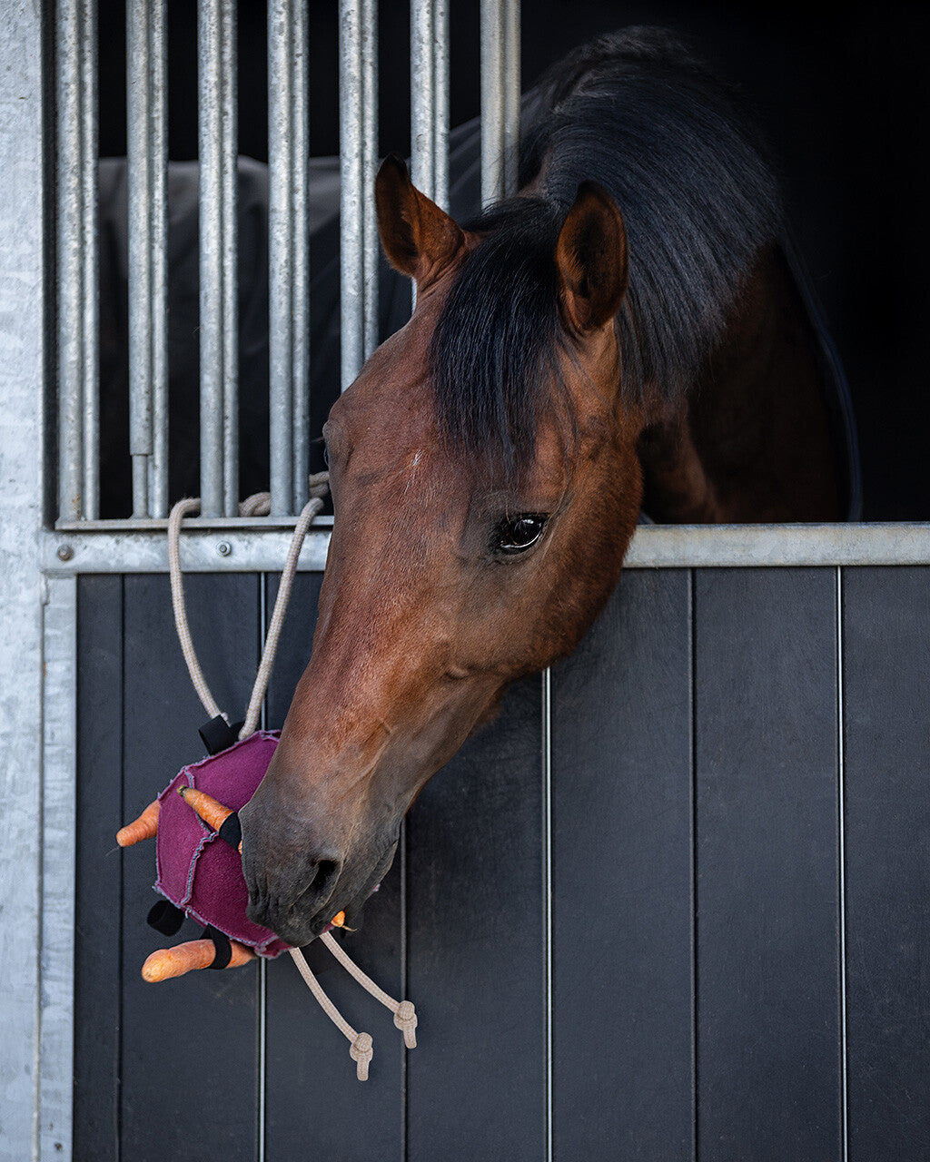 QHP Horse Toy Ball