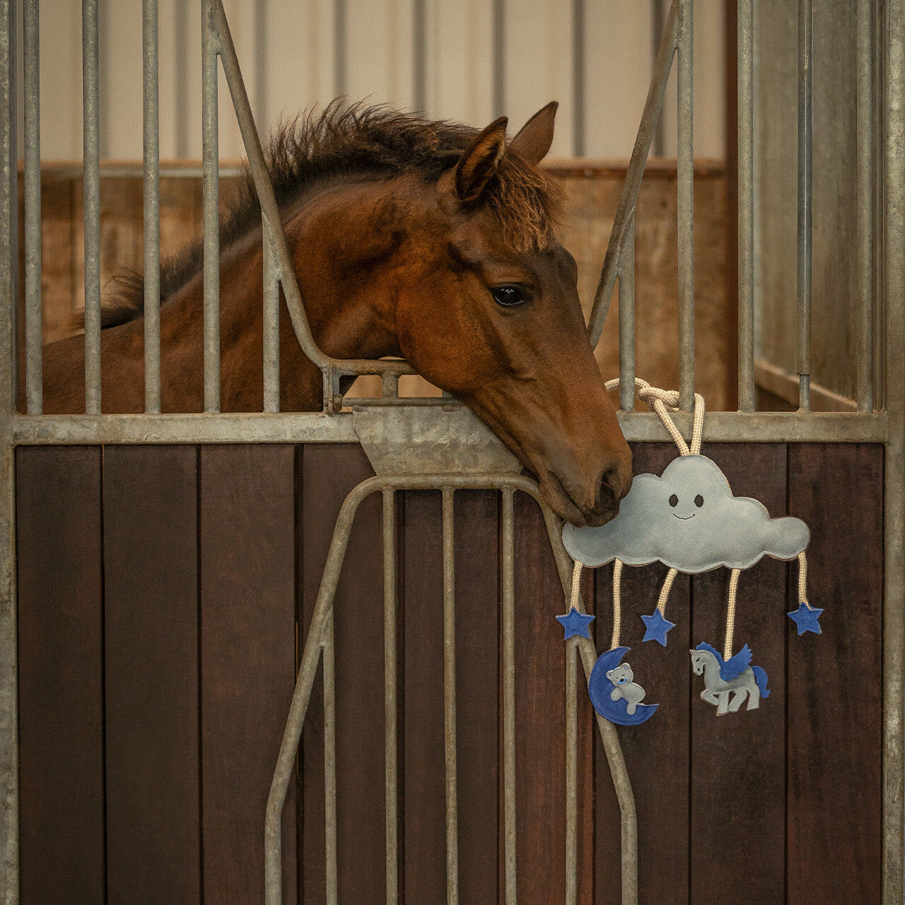 QHP Horse Toy Novy