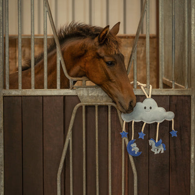 QHP Horse Toy Novy