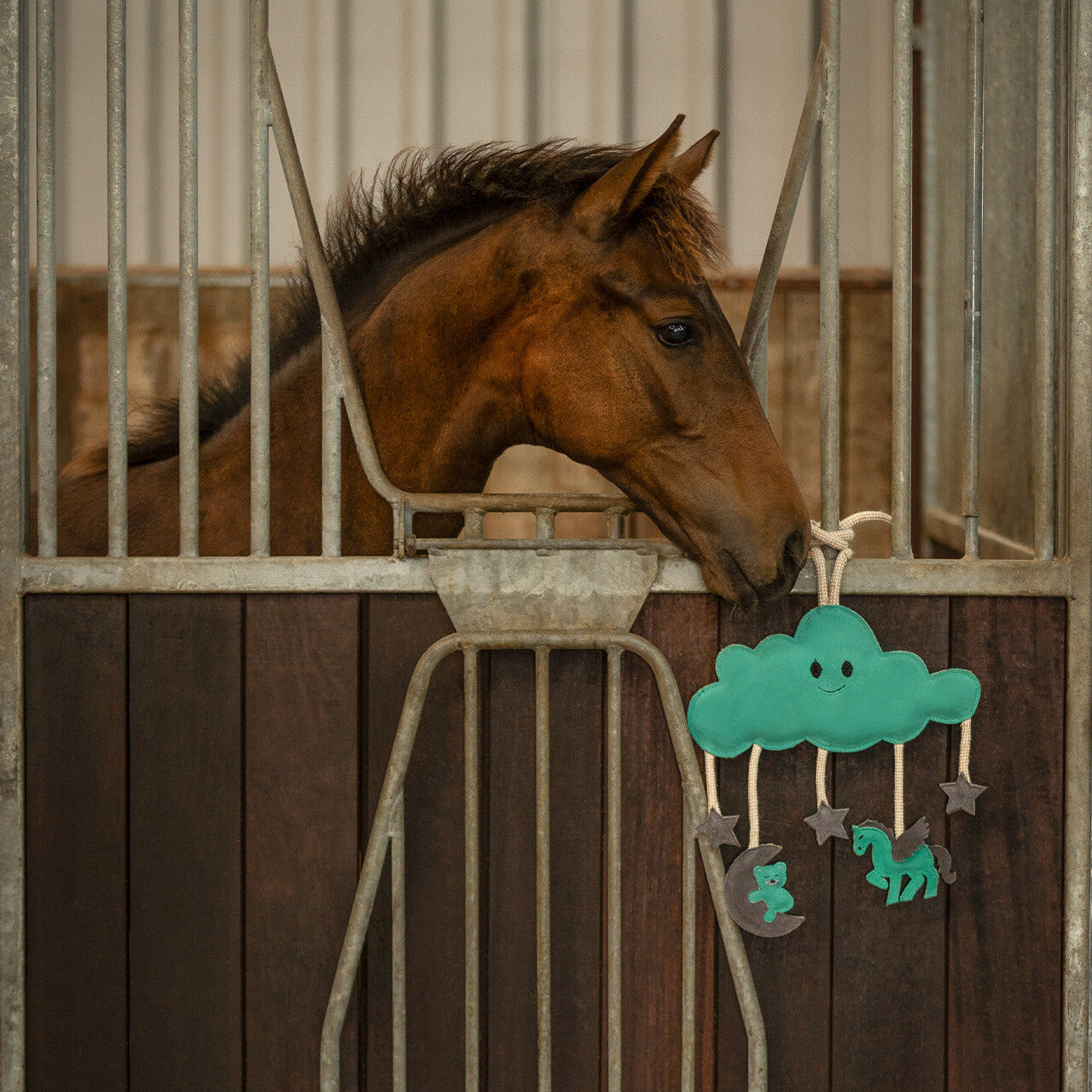 QHP Horse Toy Novy