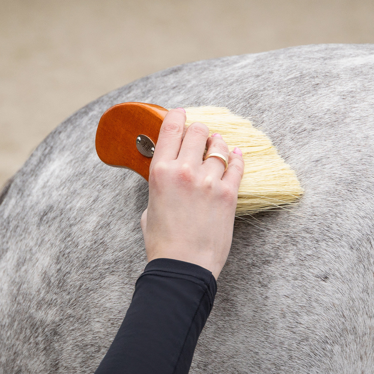 QHP Grooming Set Royal