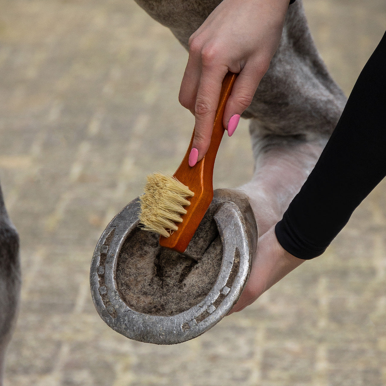 QHP Grooming Set Royal