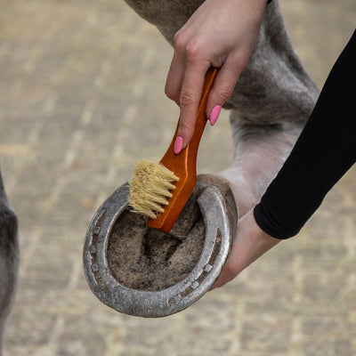 QHP Grooming Set Royal