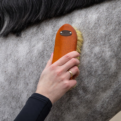 QHP Grooming Set Royal