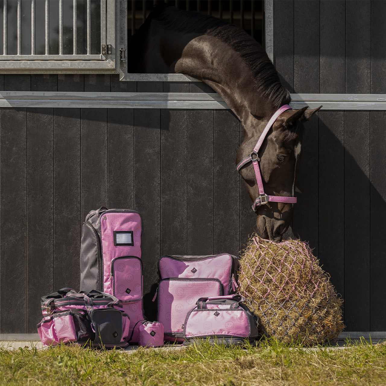 QHP Boot Bag