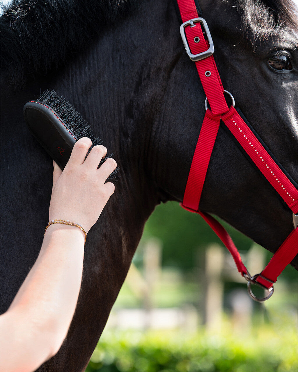 QHP Dandy brush Oakleigh