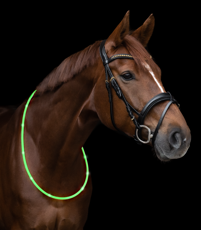 Waldhausen LED Neck Strap