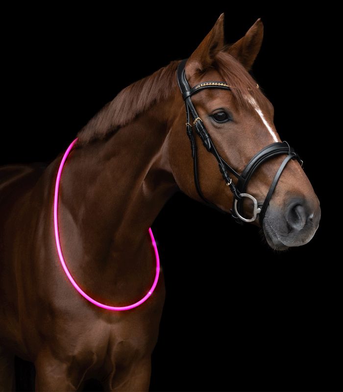 Waldhausen LED Neck Strap